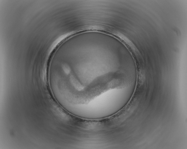 X0000113230886200909101209
