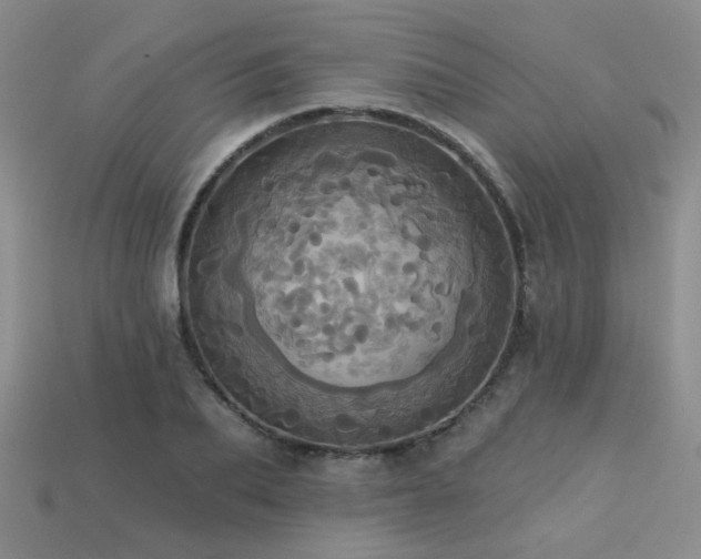 X0000113230887200909101209