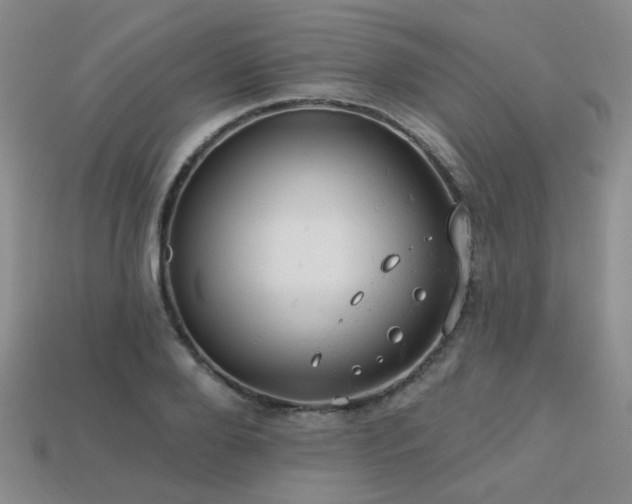X0000113230888200909101209