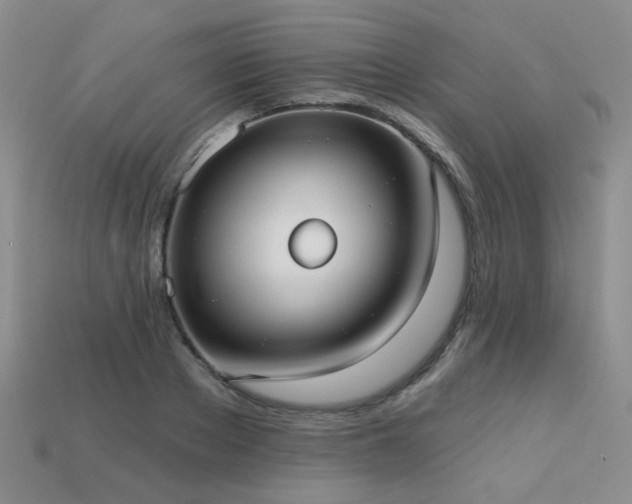 X0000113230889200909101209