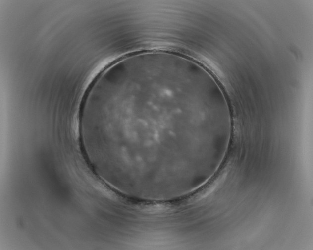 X0000113230891200909101209