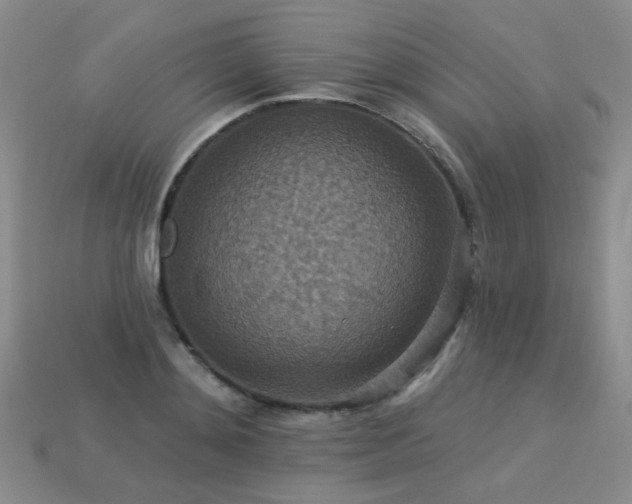 X0000113230892200909101209
