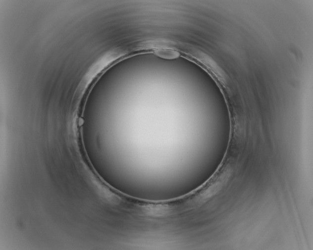 X0000113230893200909101209