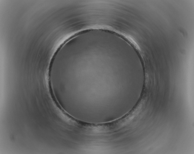 X0000113230895200909101208