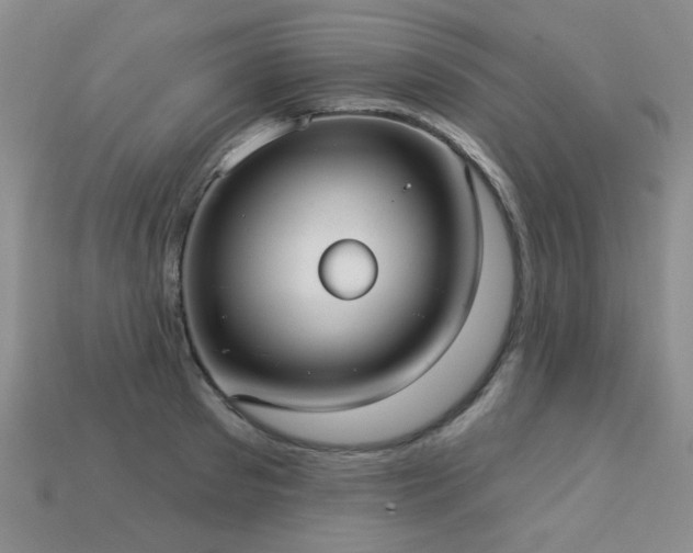 X0000113230897200909101208
