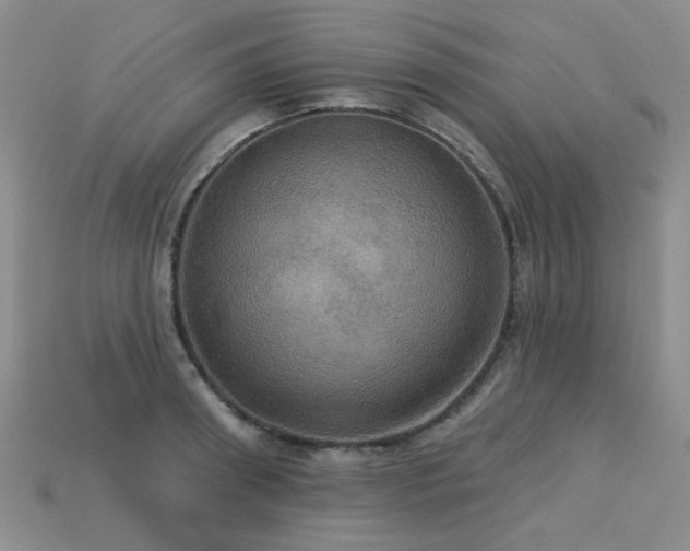 X0000113230898200909101208