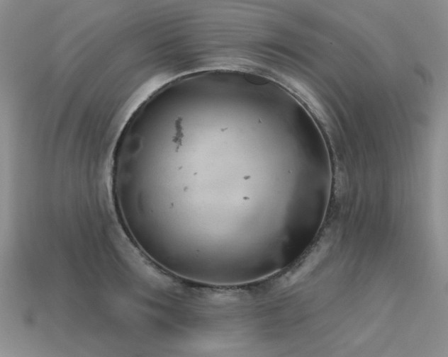X0000113230899200909101208