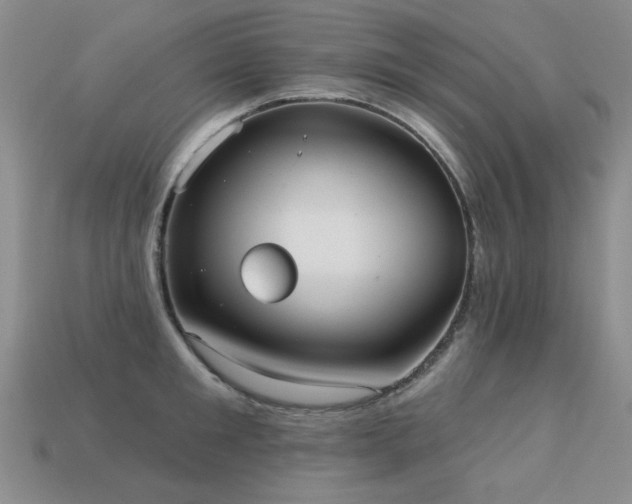 X0000113230901200909101208