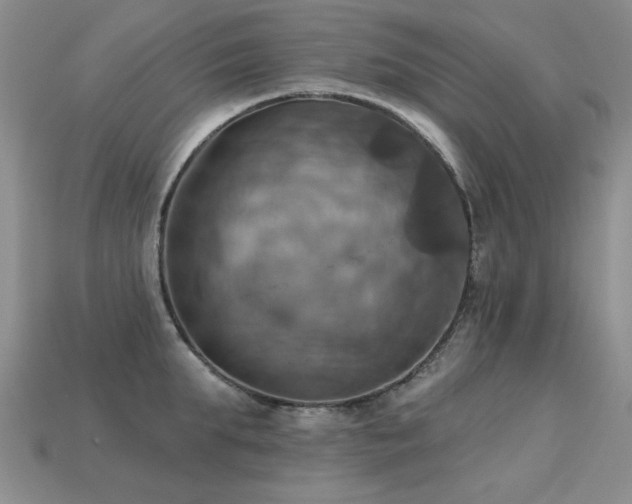 X0000113230903200909101208