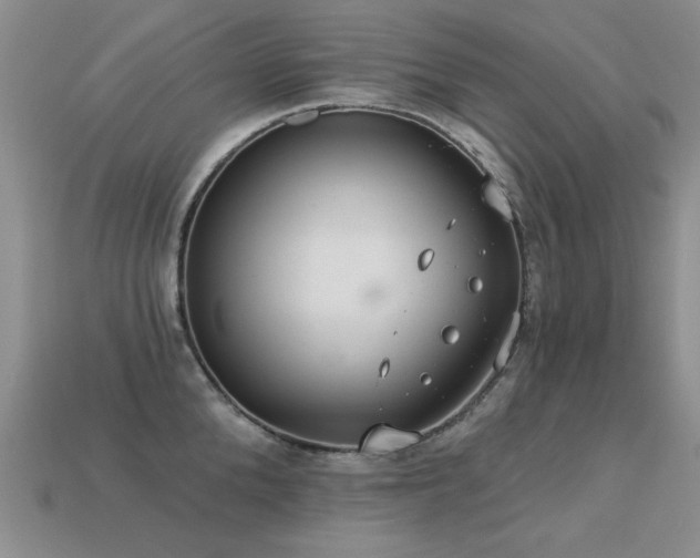 X0000113230904200909101208