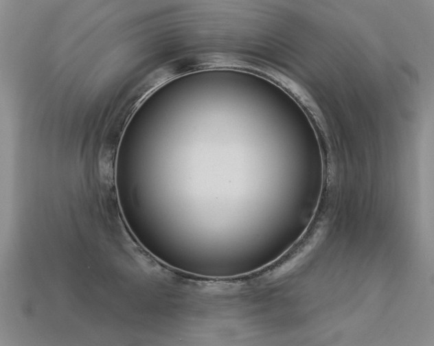 X0000113230905200909101208