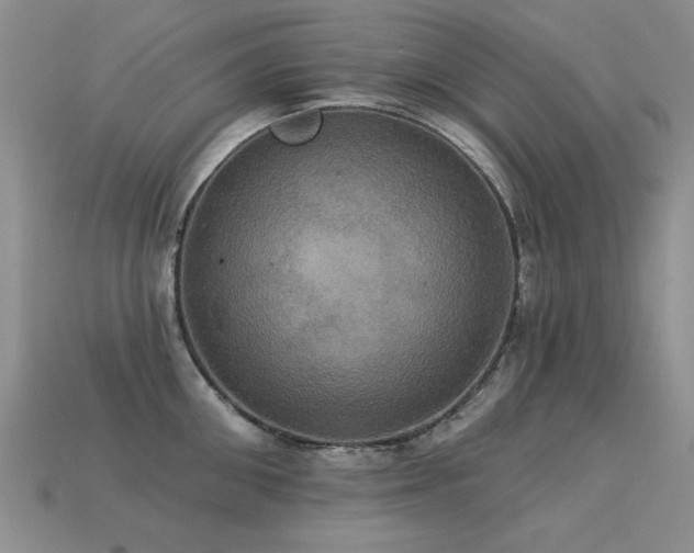 X0000113230906200909101208