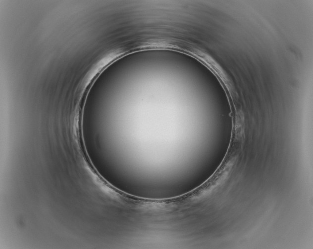 X0000113230909200909101208