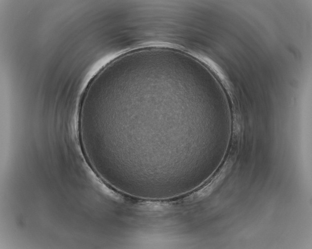 X0000113230910200909101208