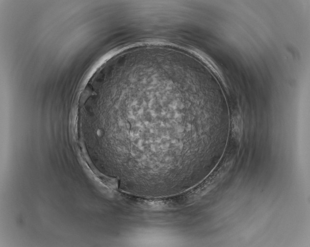 X0000113230911200909101208