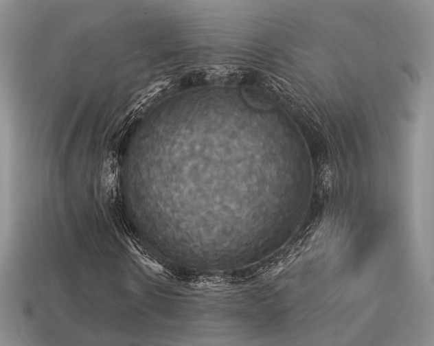 X0000113230914200909101208