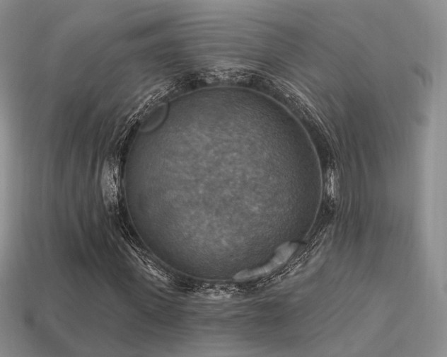 X0000113230915200909101208