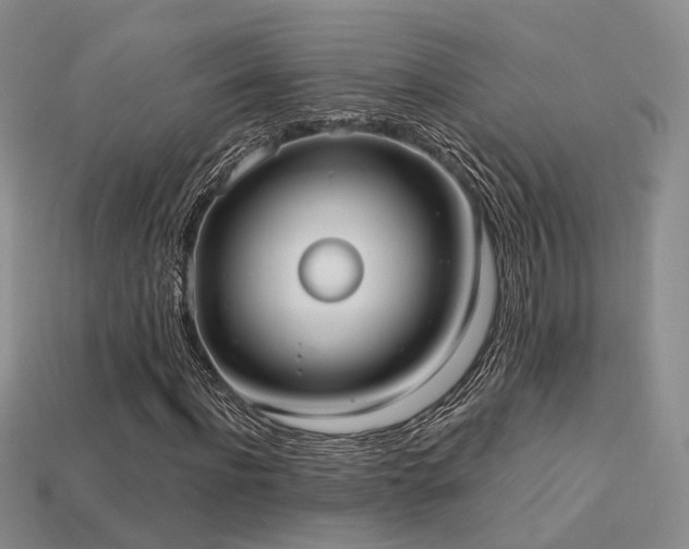 X0000113230916200909101208