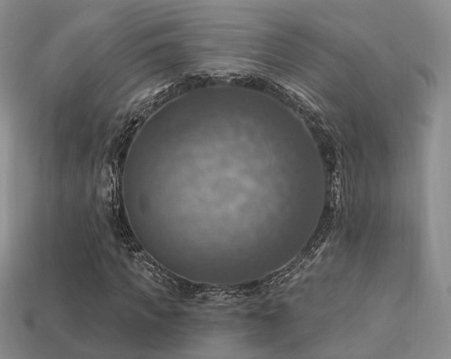 X0000113230917200909101208