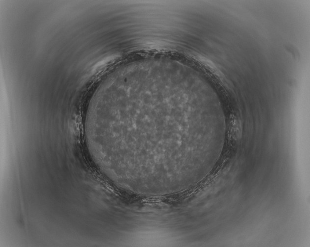 X0000113230918200909101208