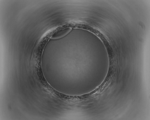 X0000113230919200909101208