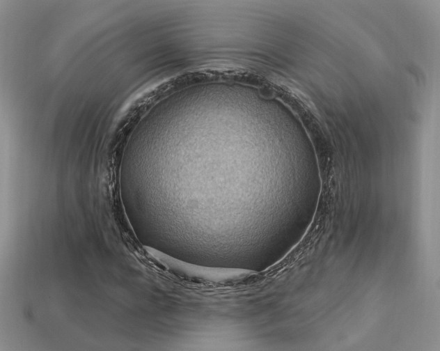 X0000113230920200909101208