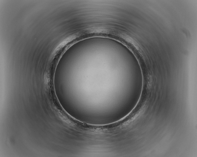 X0000113230922200909101208