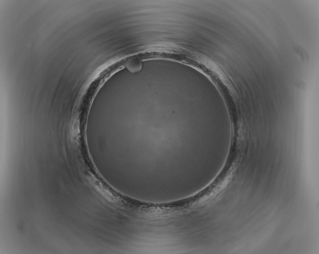 X0000113230923200909101208