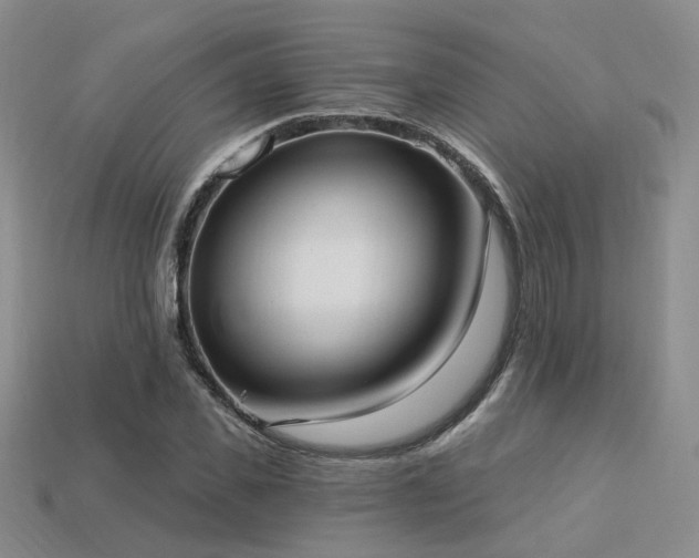 X0000113230925200909101208
