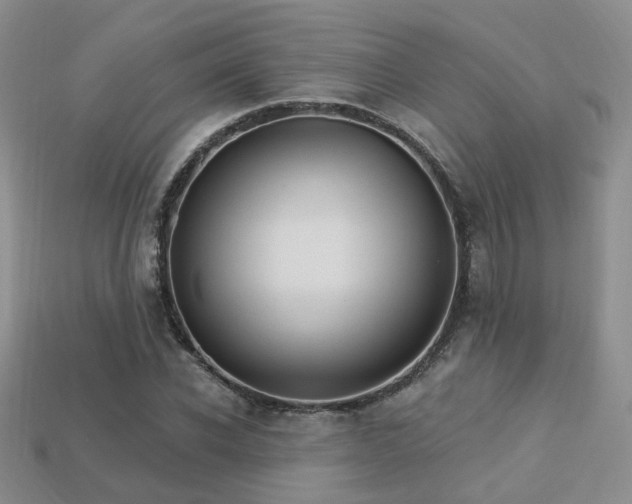 X0000113230926200909101208