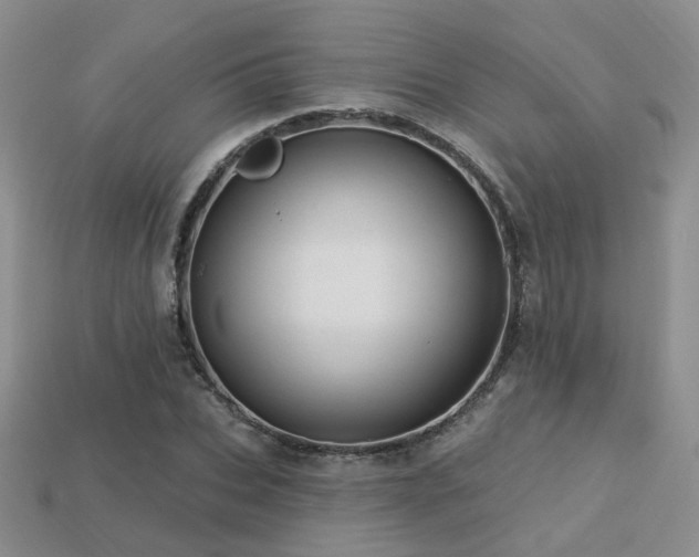 X0000113230927200909101208
