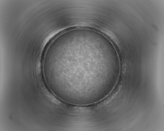 X0000113230928200909101208