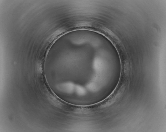 X0000113230929200909101208