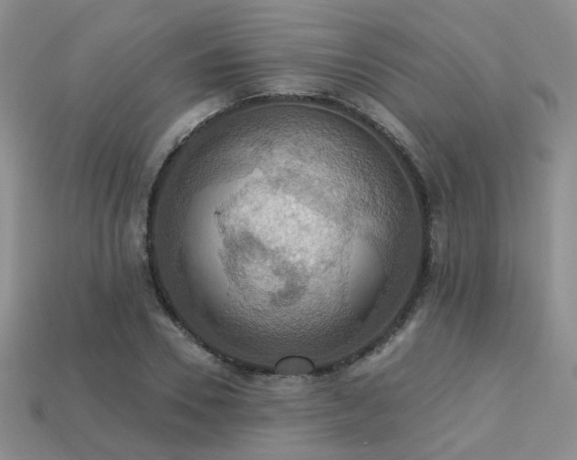 X0000113230930200909101208
