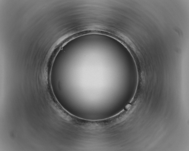 X0000113230931200909101208