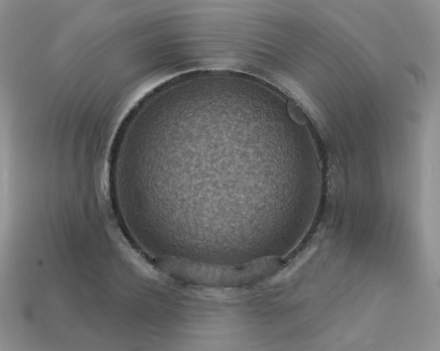 X0000113230932200909101208