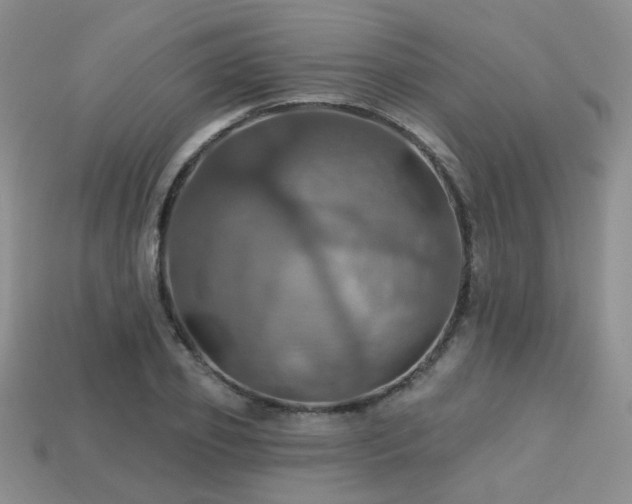 X0000113230933200909101208