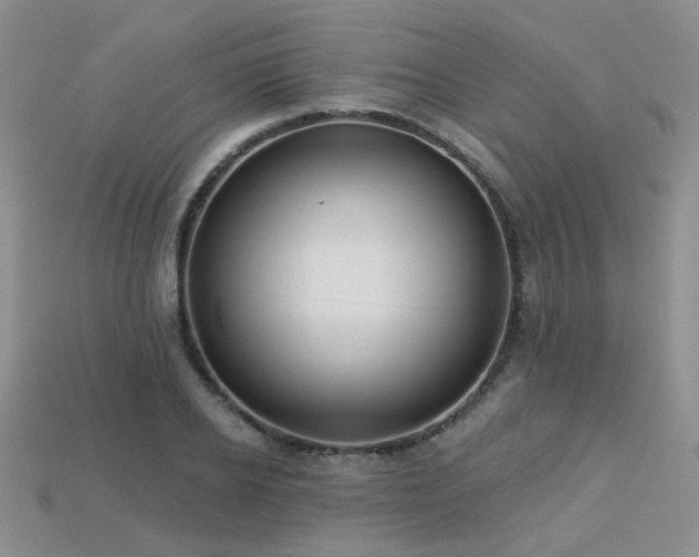 X0000113230934200909101208
