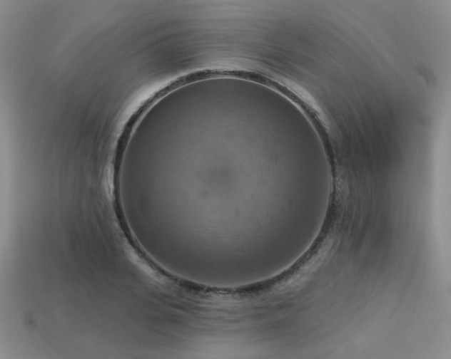 X0000113230935200909101208