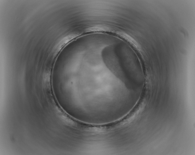 X0000113230937200909101208
