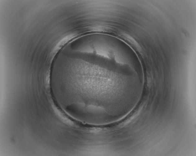X0000113230938200909101208