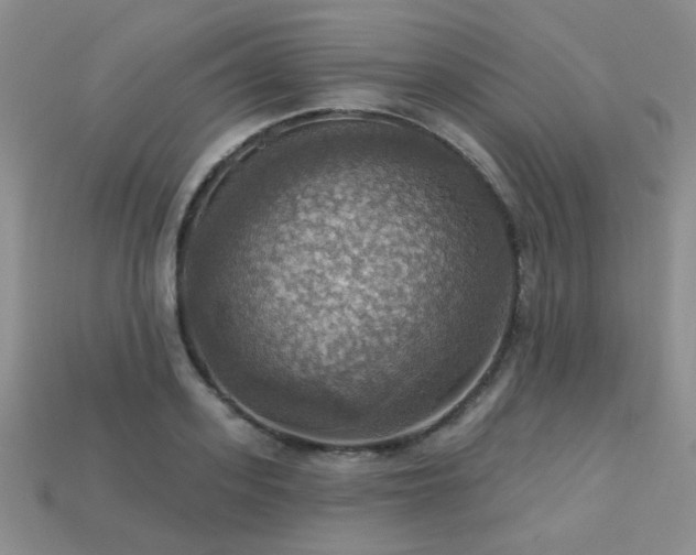 X0000113230939200909101208