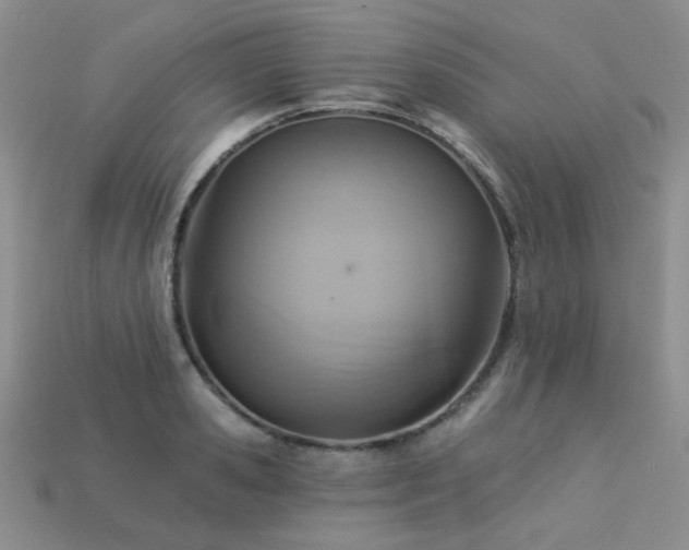 X0000113230941200909101208