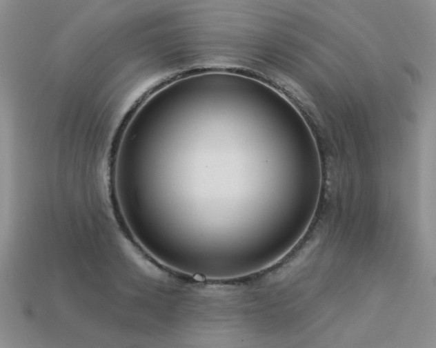 X0000113230942200909101208