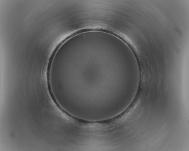 X0000113230943200909101208