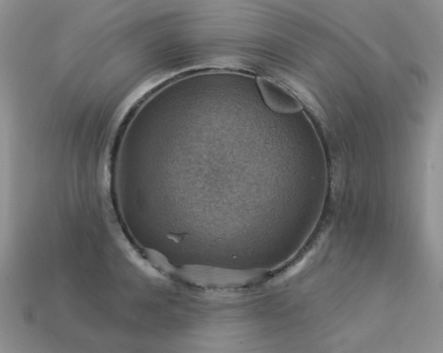 X0000113230944200909101208