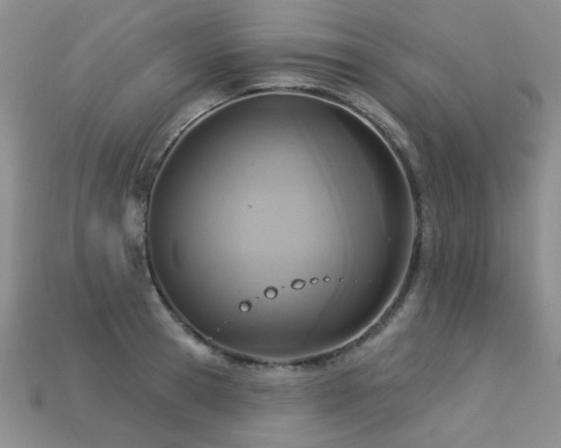 X0000113230945200909101208