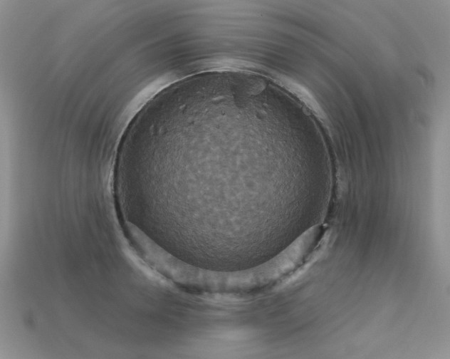 X0000113230946200909101208