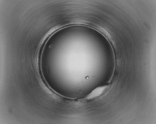 X0000113230947200909101208