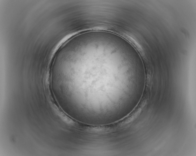 X0000113230948200909101208